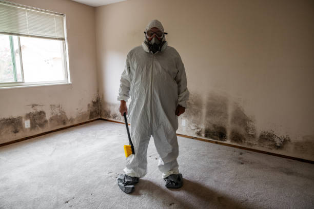 Best Mold Remediation for Healthcare Facilities  in Jessup, PA